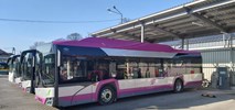 MZK Kutno z jedną ofertą na autobus spalinowy
